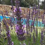 Guest house Familia Hvar 4*
