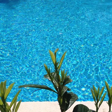 Guest house Familia Hvar 3*