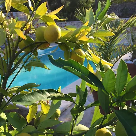 Guest house Familia Hvar Vrboska