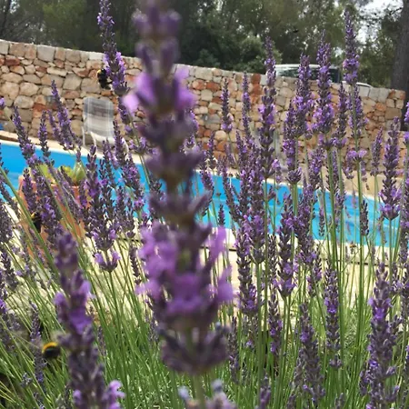 Guest house Familia Hvar 3*