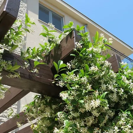 Guest house Familia Hvar Vrboska