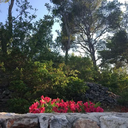Familia Hvar Guest house 3*