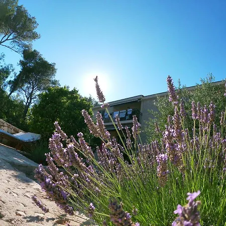 Familia Hvar Vrboska