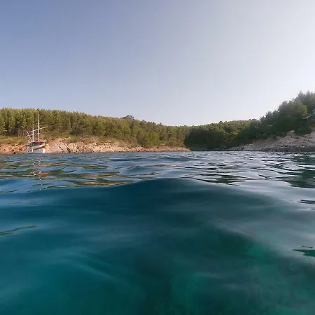 Familia Hvar