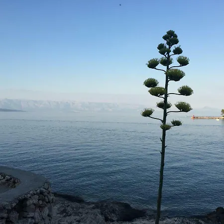Familia Hvar